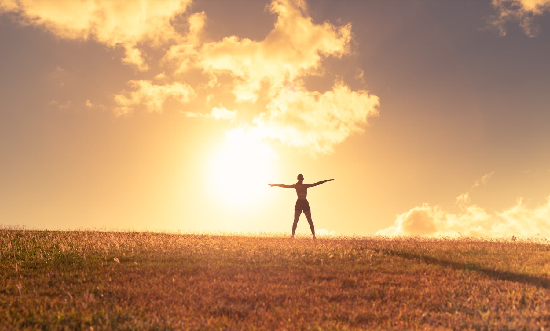 Energy & Recovery Bundle